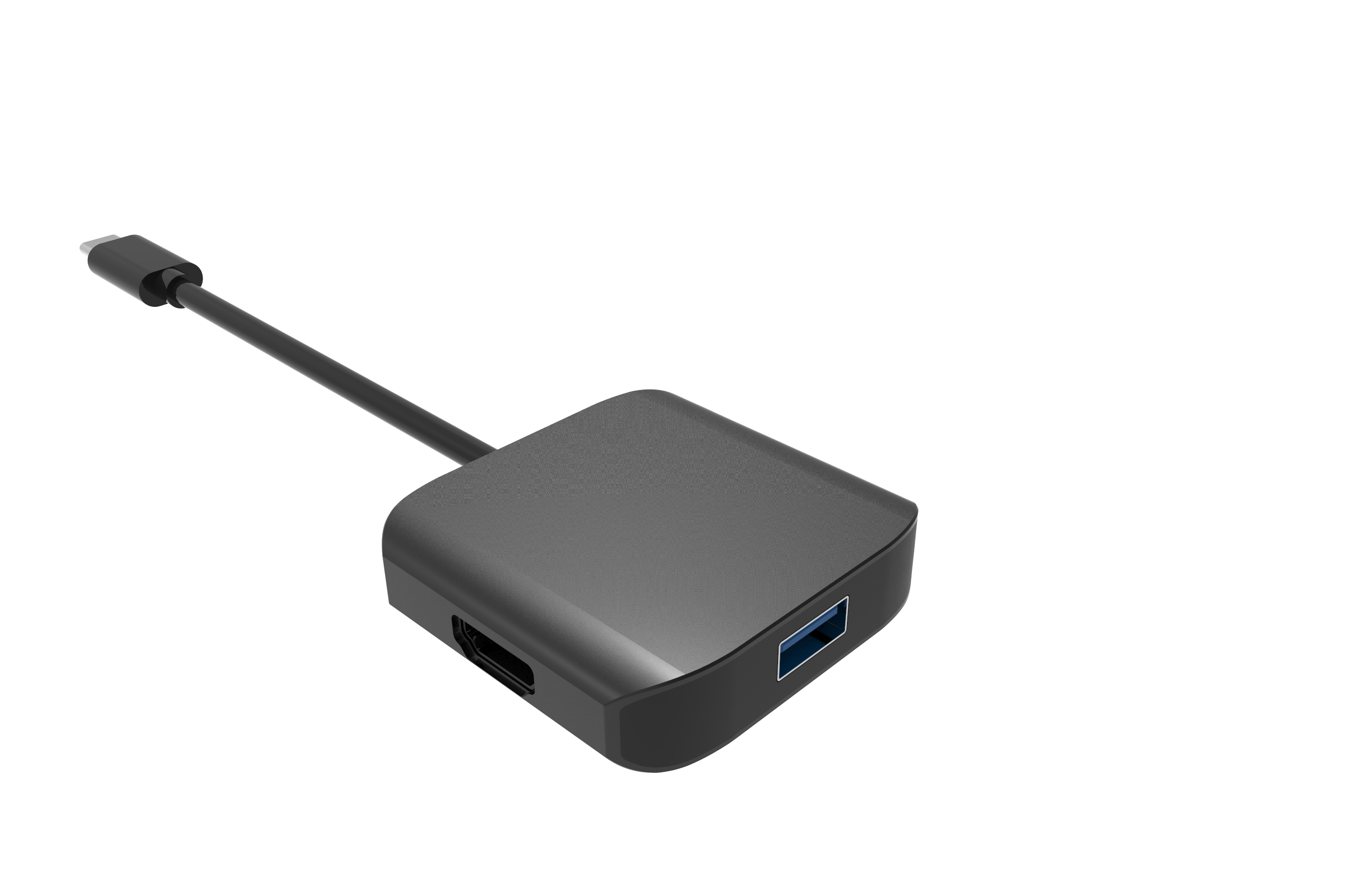 Type C Adapter Type C Adapter
